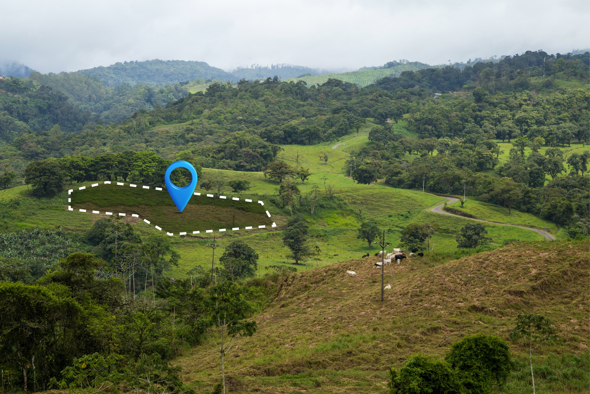 Geospatial Services
